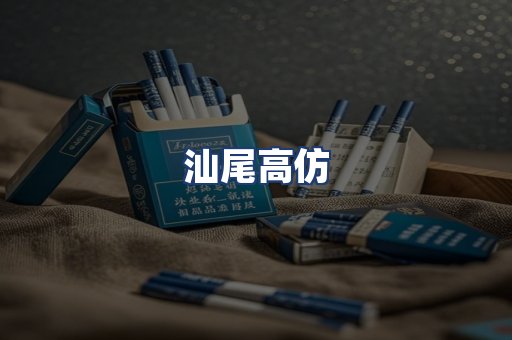 汕尾高仿